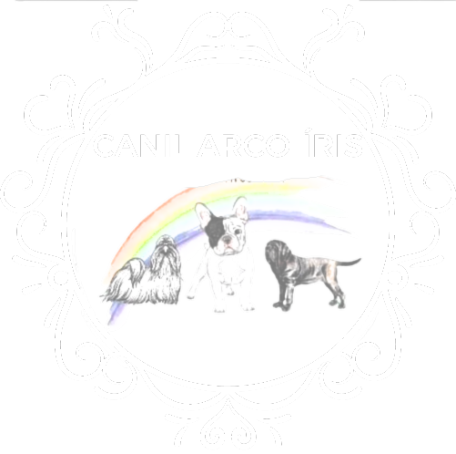 CANIL ARCO iIRIS 2