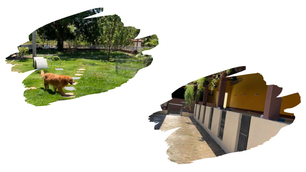Design sem nome 13